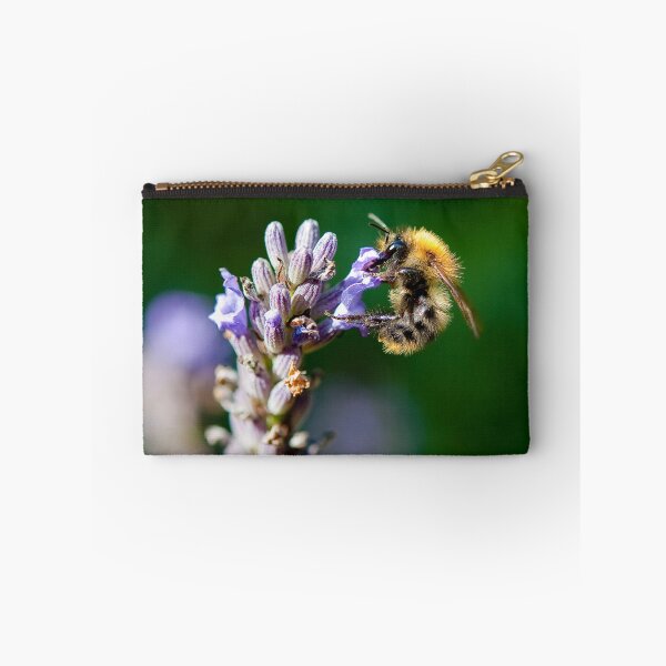 Artikelvorschau, Bumble Bee on Lavender entworfen und verkauft von Thomas Tolkien.