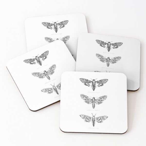 Item preview, Death's Head Hawk Moths - Graphite designed and sold by sarah-oconnell.