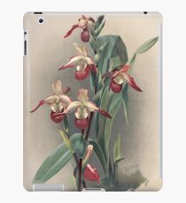 Reichenbachia Orchids illustrated and described by F. Sander 1888 V1-V2 089 iPad Case/Skin