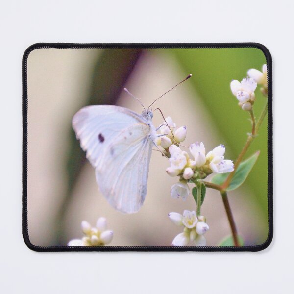 Item preview, Delicate Cabbage White designed and sold by What I See by Dawne.