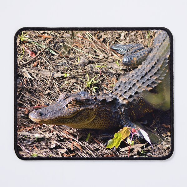 Item preview, George The Baby Gator designed and sold by What I See by Dawne.