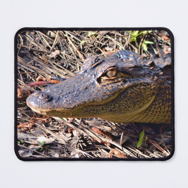 Item preview, Baby Gator George designed and sold by What I See by Dawne.
