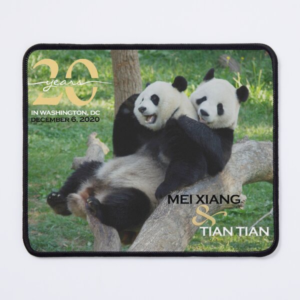Item preview, Giant Pandas Mei Xiang and Tian Tian at the National Zoo - 20th Anniversary Edition designed and sold by Zoo and Nature Photography by Karie.