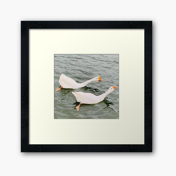 Item preview, canard designed and sold by baksuart.