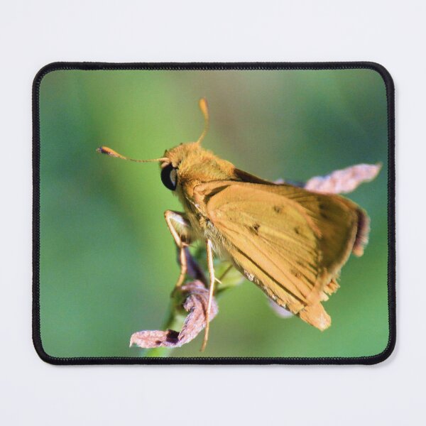 Item preview, The Fiery Skipper designed and sold by What I See by Dawne.