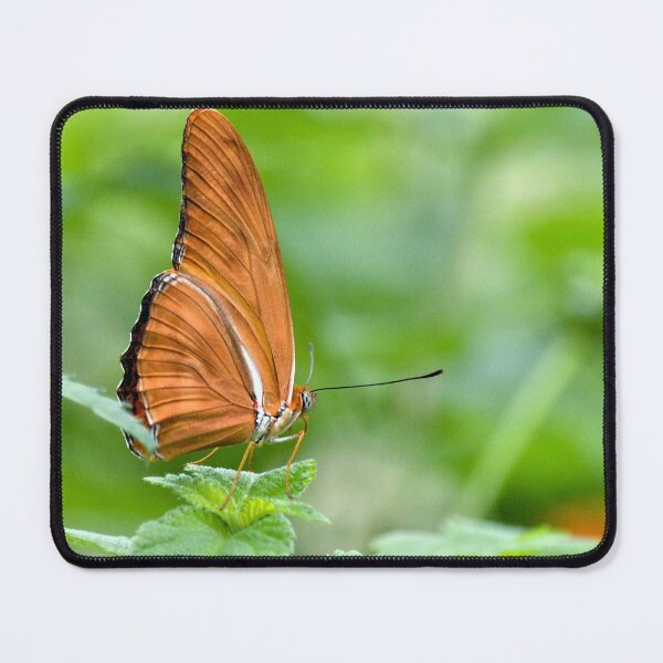 Item preview, The Julia Butterfly Ready For Flight designed and sold by What I See by Dawne.