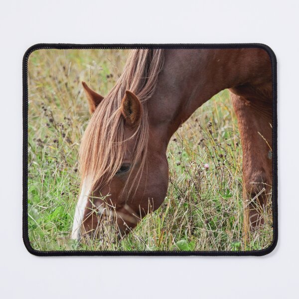 Item preview, Eat your greens. Horse designed and sold by Jouko Lehto Photography.