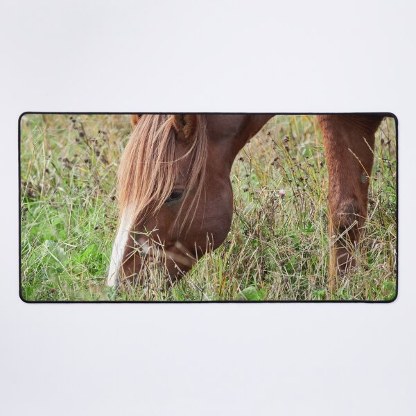 Item preview, Eat your greens. Horse designed and sold by Jouko Lehto Photography.