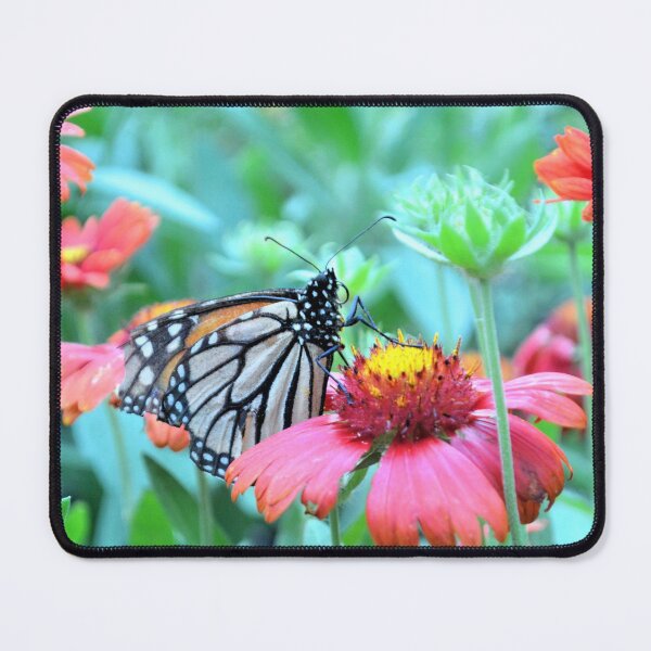 Item preview, A Monarch On A Firewheel Daisy designed and sold by What I See by Dawne.