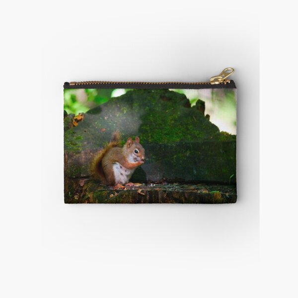 Item preview, Squirrel getting some grub designed and sold by Josef Pittner.