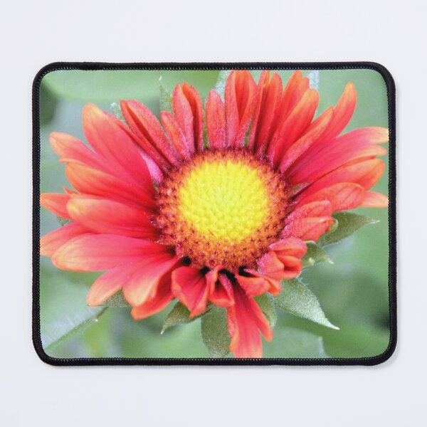 Item preview, Firewheel Daisy designed and sold by What I See by Dawne.