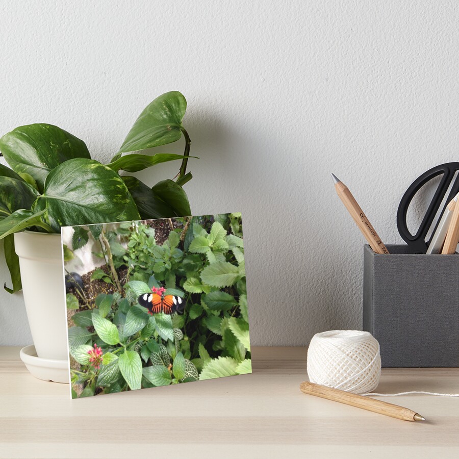 Item preview, Art Board Print designed and sold by Rixoppida.