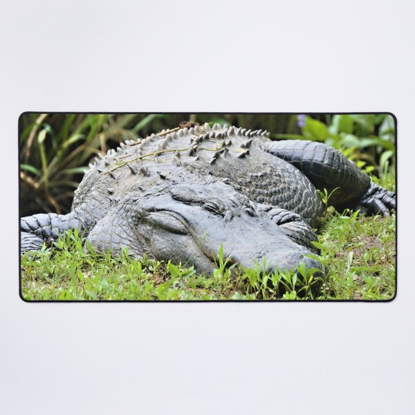 Item preview, The Sleeping Giant designed and sold by What I See by Dawne.