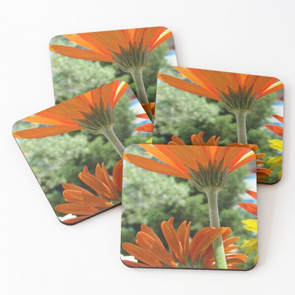 Item preview, Daisies designed and sold by DixiePics.
