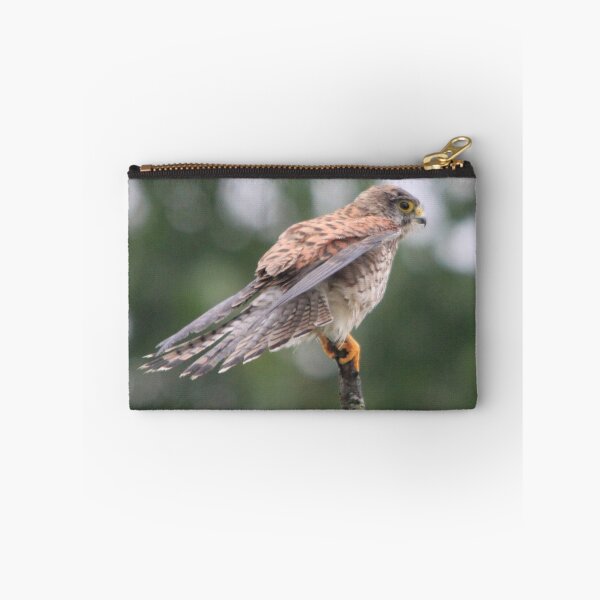 Item preview, Common Kestrel (Falco tinnunculus)  designed and sold by DutchLumix.