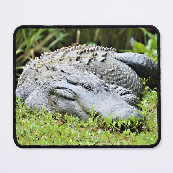 Item preview, The Sleeping Giant designed and sold by What I See by Dawne.
