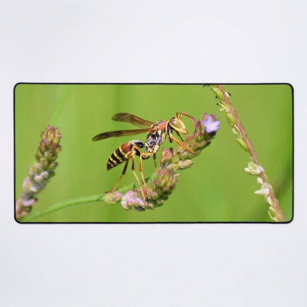 Item preview, Male Paper Wasp designed and sold by What I See by Dawne.