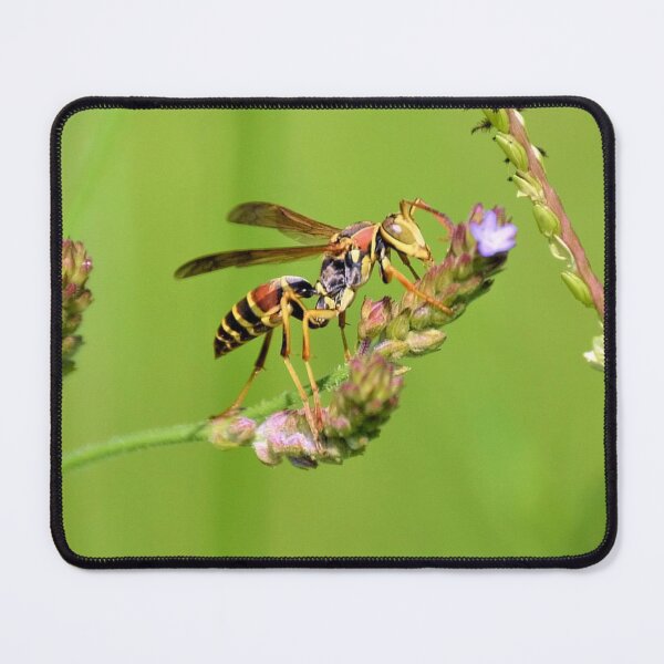 Item preview, Male Paper Wasp designed and sold by What I See by Dawne.