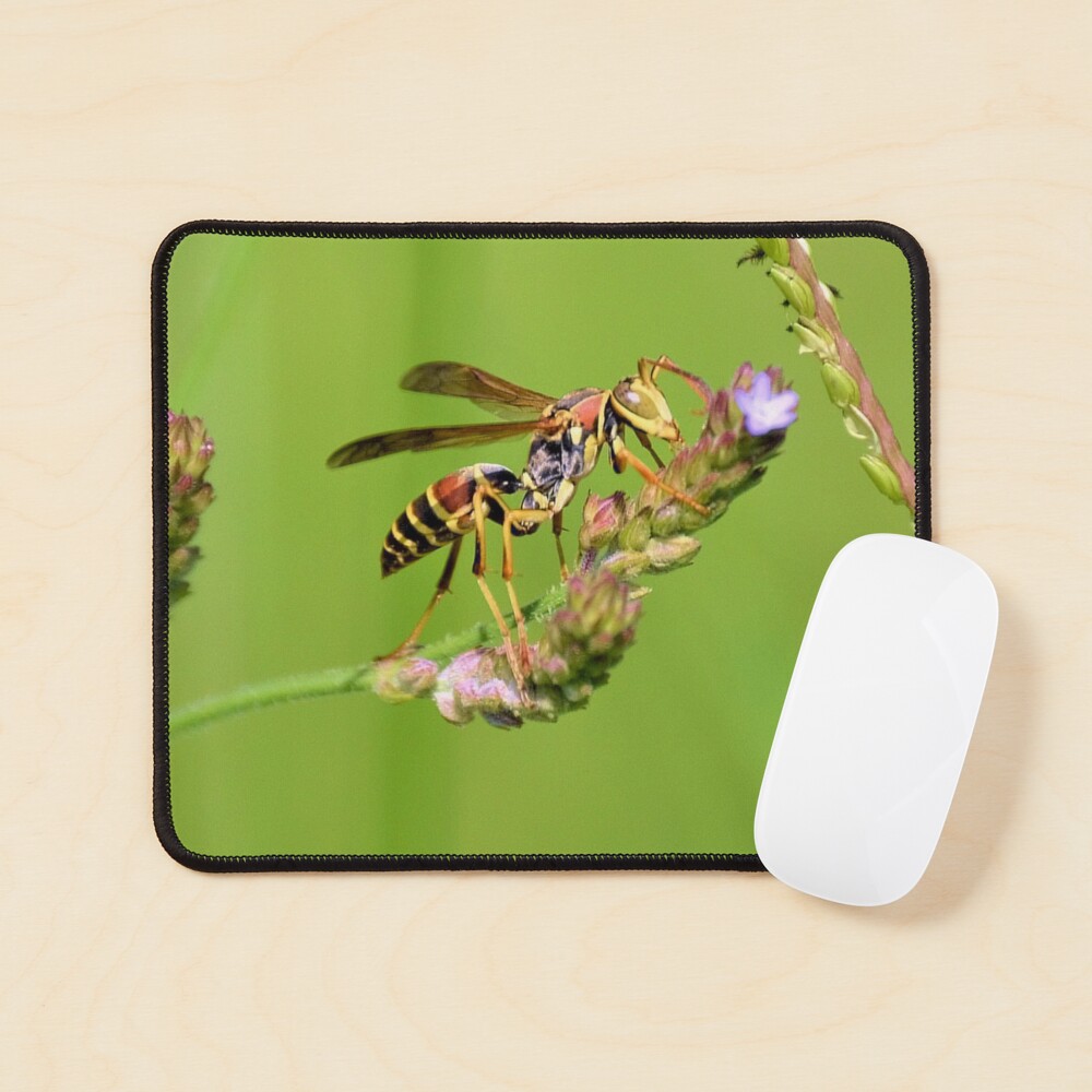 Item preview, Mouse Pad designed and sold by DAWNESROMEO.