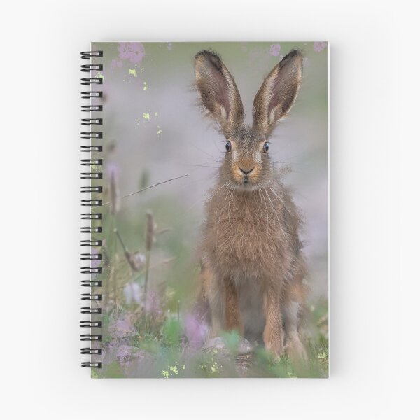 Item preview, Hare Mixed Media designed and sold by OByD.