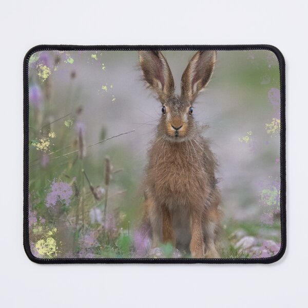 Item preview, Hare Mixed Media designed and sold by OByD.