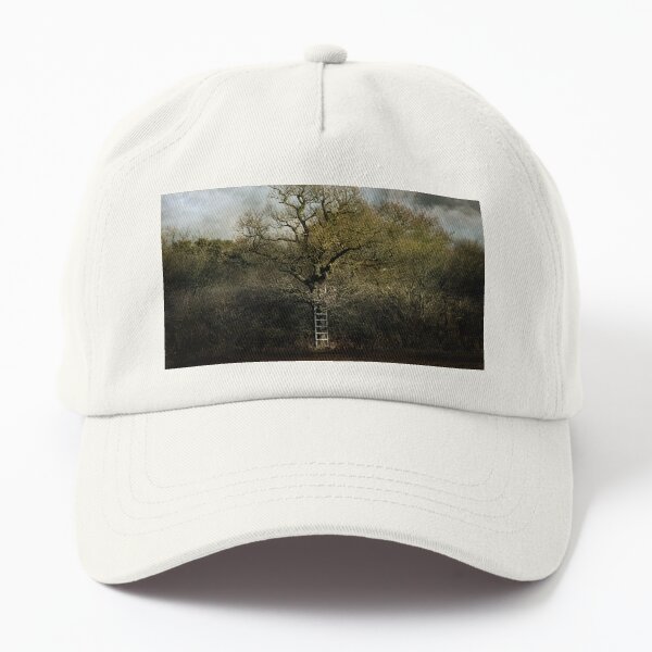 A Ladder to the Clouds Dad Hat