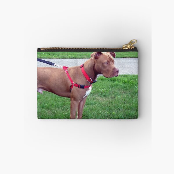 Item preview, Pitbull Pup designed and sold by Marcia Rubin.