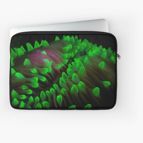 Coral fluorescence Laptop Sleeve