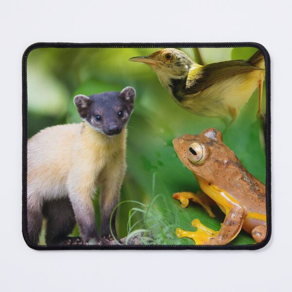 Item preview, Kaeng Krachan National Park Thailand circled logo designed and sold by Mr. Slavchev.