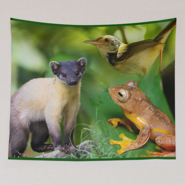 Item preview, Kaeng Krachan National Park Thailand circled logo designed and sold by Mr. Slavchev.