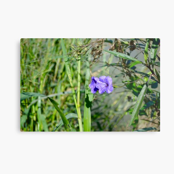 Flowers Metal Print