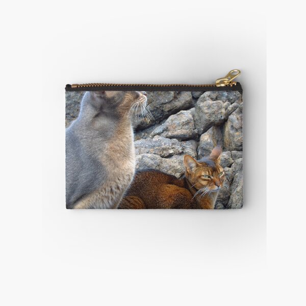 Item preview, Cats on Rocks; Lucy giving stink eye  designed and sold by Stone Bandana.