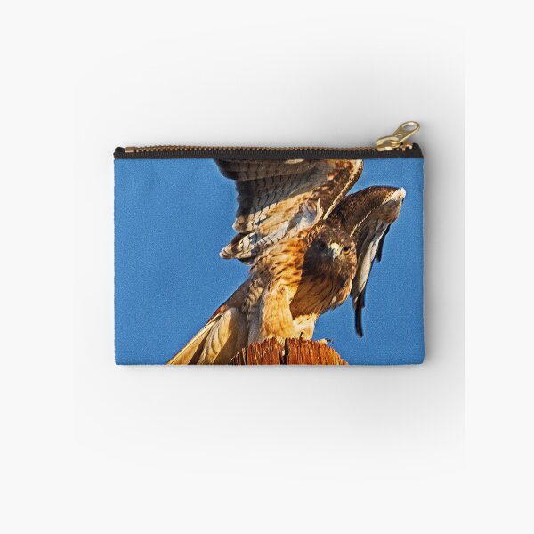 Item preview, 082310 Red Tailed Hawk designed and sold by Marvin Collins.