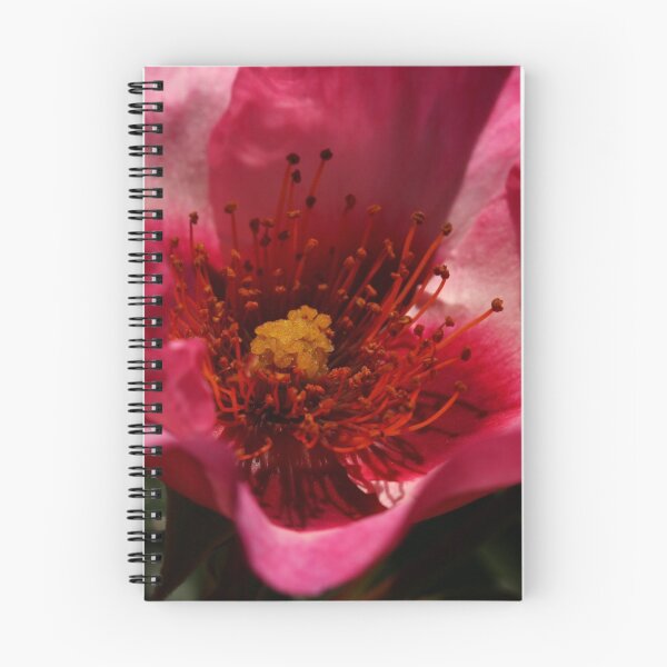 Item preview, Rose Garden 8-15 designed and sold by beeden.