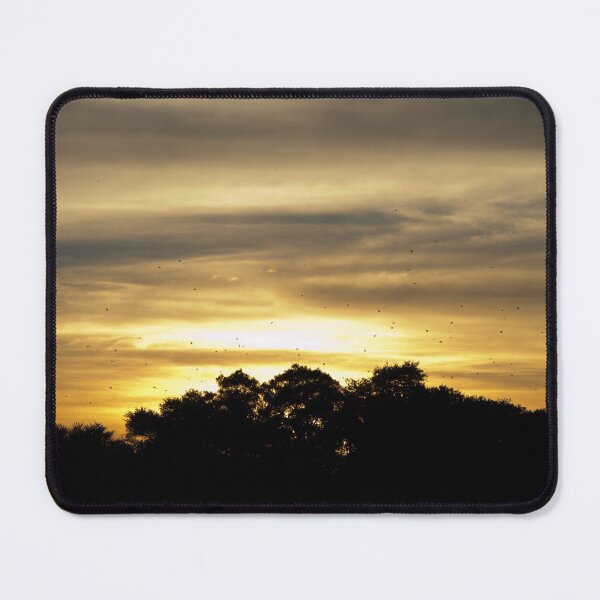 Item preview, Sunset Blvd designed and sold by Adu6th.