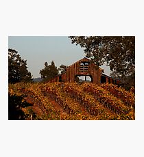 Old Slusser Rd. Barn Photographic Print
