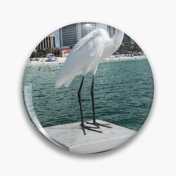 Item preview, Florida White Crane Clearwater Beach on Pier 60 designed and sold by ZCS2014.