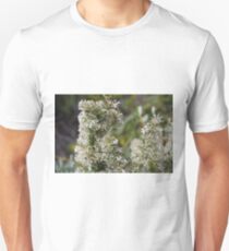 White Grevillea 2 Unisex T-Shirt
