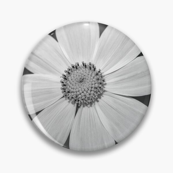 Item preview, White Cosmos Black And White Square designed and sold by Tanya C  Smith.