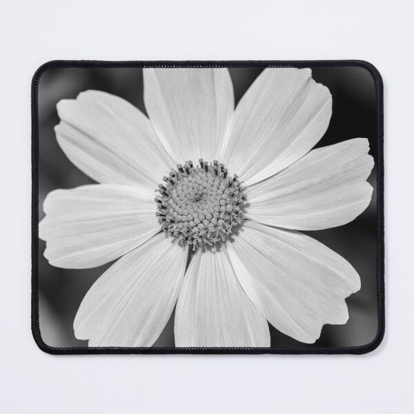 Item preview, White Cosmos Black And White Square designed and sold by Tanya C Smith.