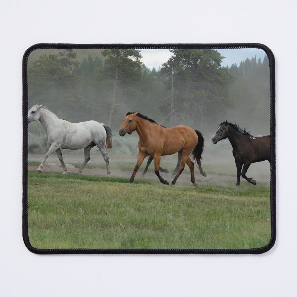 Item preview, Back to Pasture designed and sold by Eileen McVey.