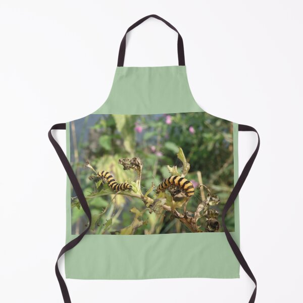 Item preview, Cinnabar Moth Caterpillars Macro Photograph designed and sold by naturegallery.