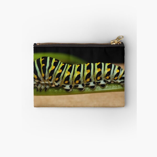 Item preview, Backyard Caterpillar designed and sold by martinilogic.