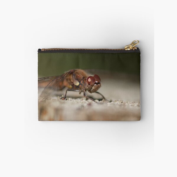 Item preview, Common Darter designed and sold by Jon Lees.