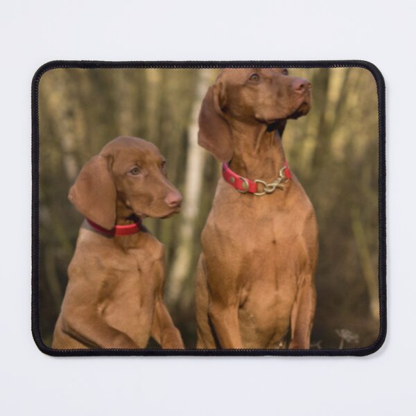 My beautiful dogs are watching you Mouse Pad
