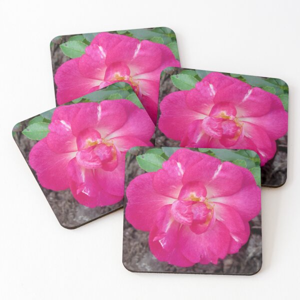 Item preview, Candy Striped Rose designed and sold by Shulie1.