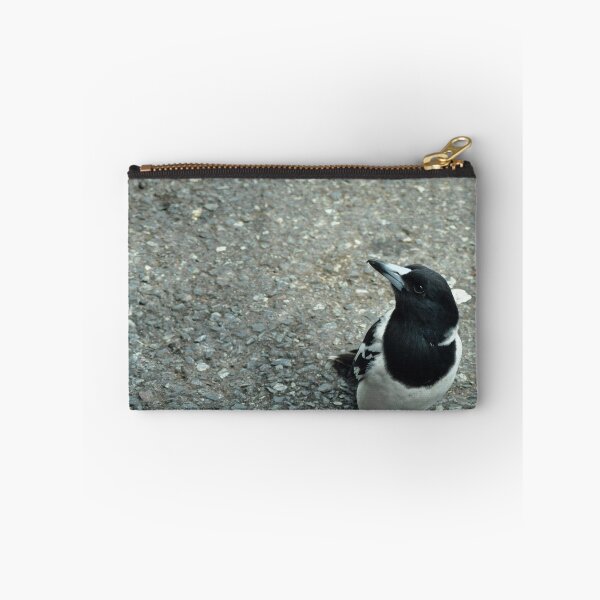 Item preview, pied butcherbird designed and sold by gary roberts.