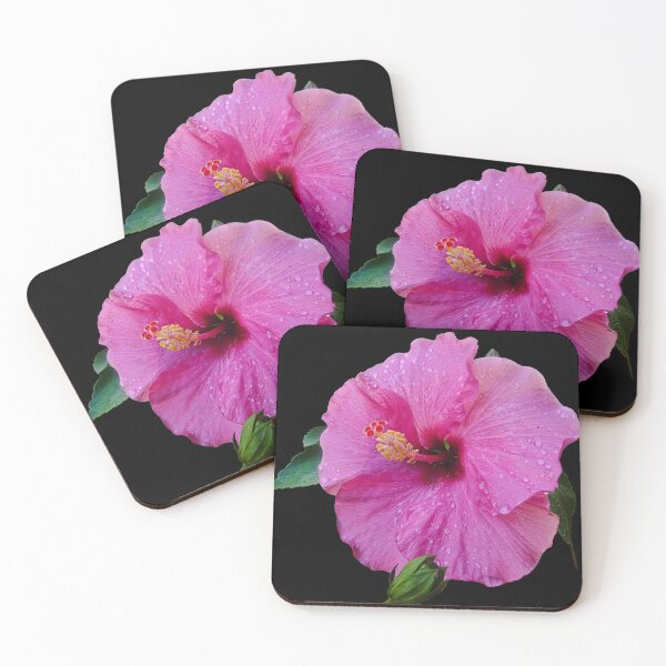 Item preview, Hibiscus after a summer rain designed and sold by Brad Chambers.