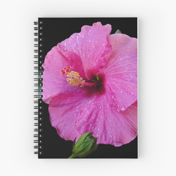 Item preview, Hibiscus after a summer rain designed and sold by Brad Chambers.