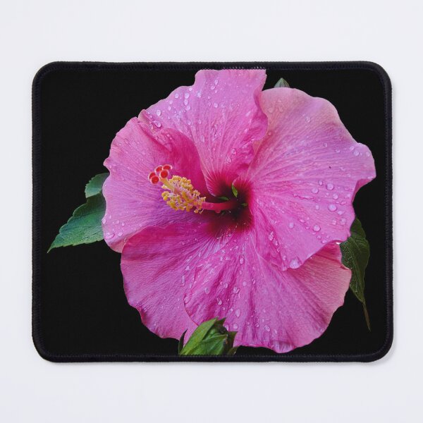 Item preview, Hibiscus after a summer rain designed and sold by Brad Chambers.